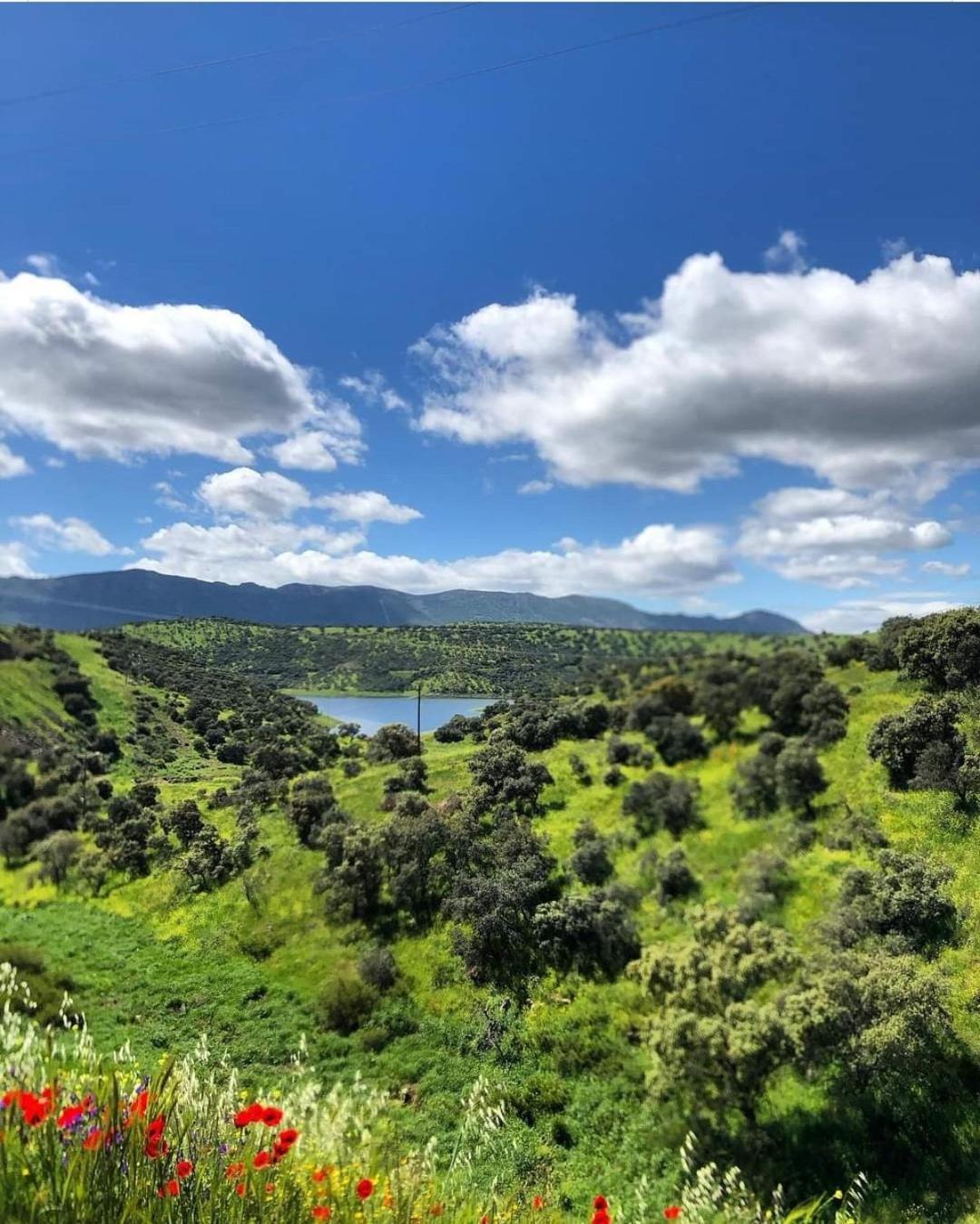 Alojamiento Turistico Las Solaneras Villa Solana del Pino Exterior foto