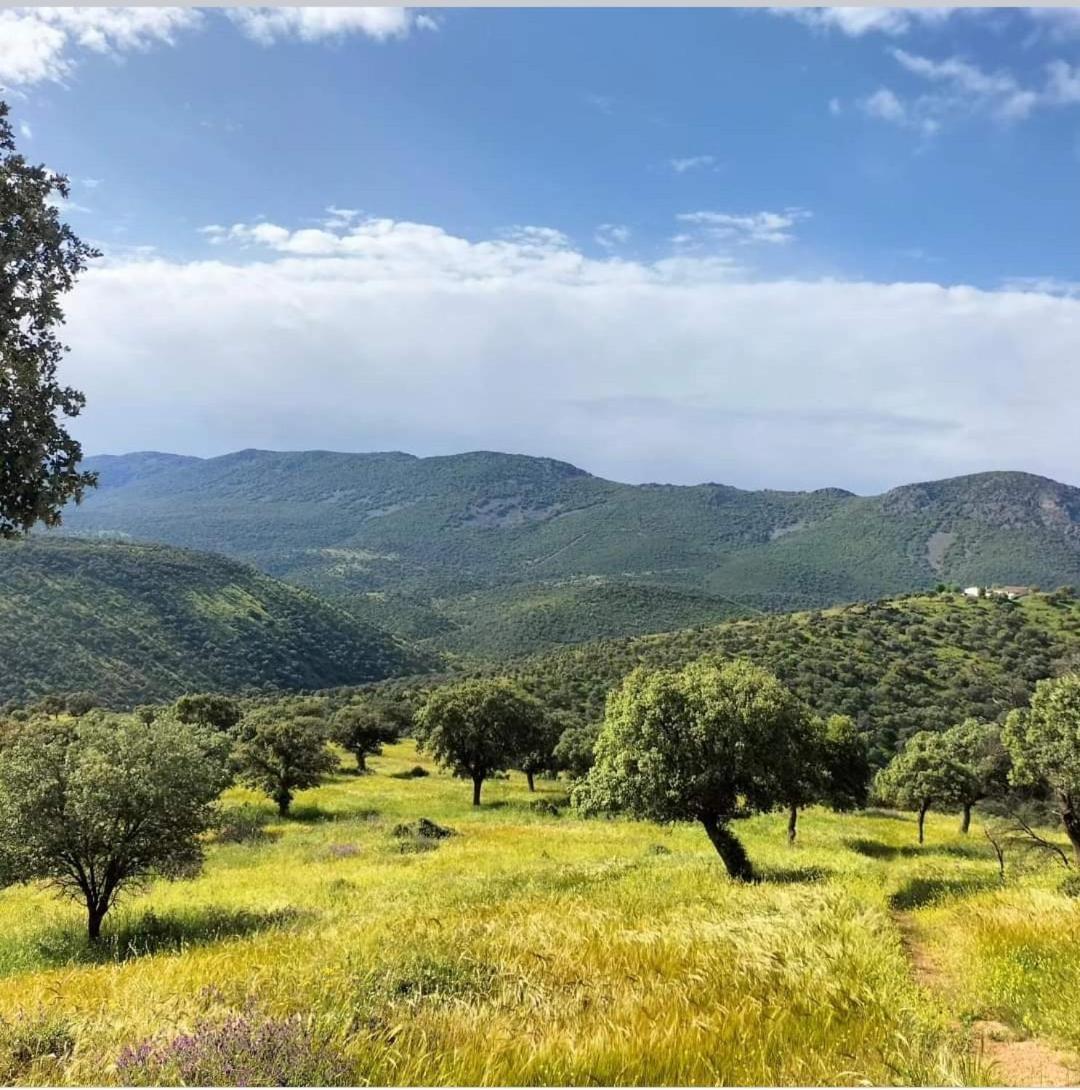 Alojamiento Turistico Las Solaneras Villa Solana del Pino Habitación foto