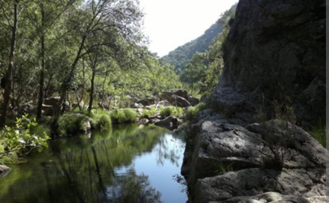 Alojamiento Turistico Las Solaneras Villa Solana del Pino Habitación foto