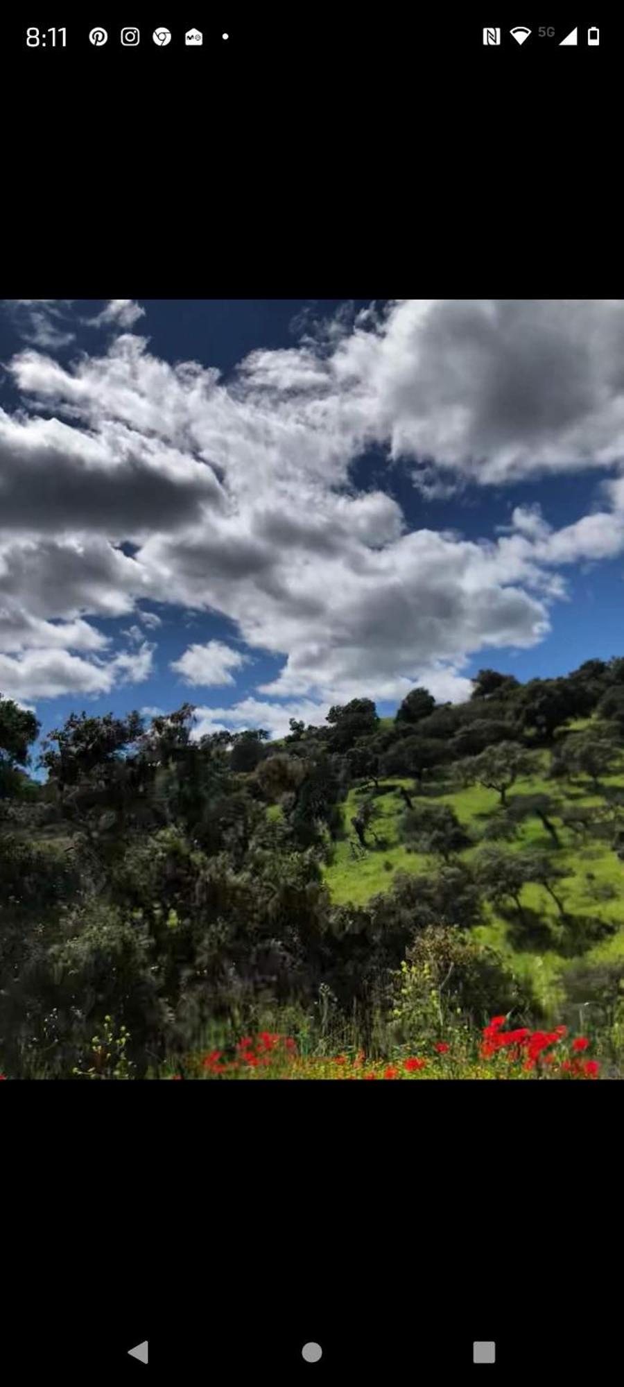 Alojamiento Turistico Las Solaneras Villa Solana del Pino Habitación foto