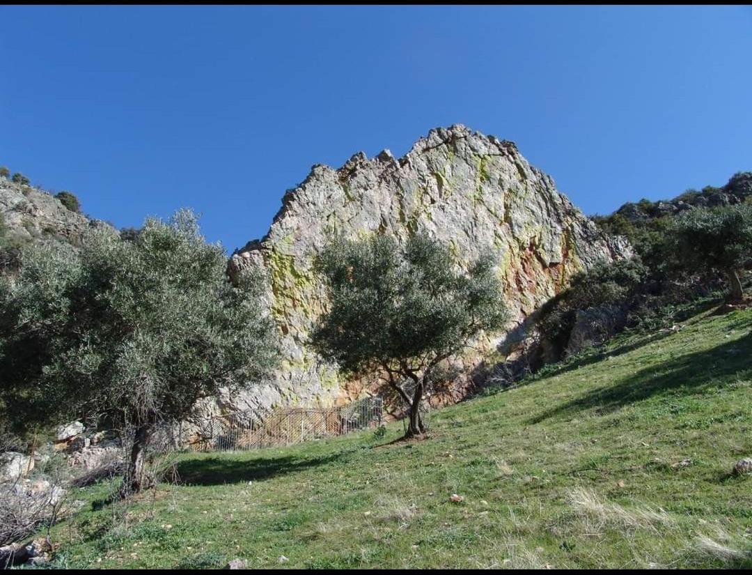 Alojamiento Turistico Las Solaneras Villa Solana del Pino Habitación foto