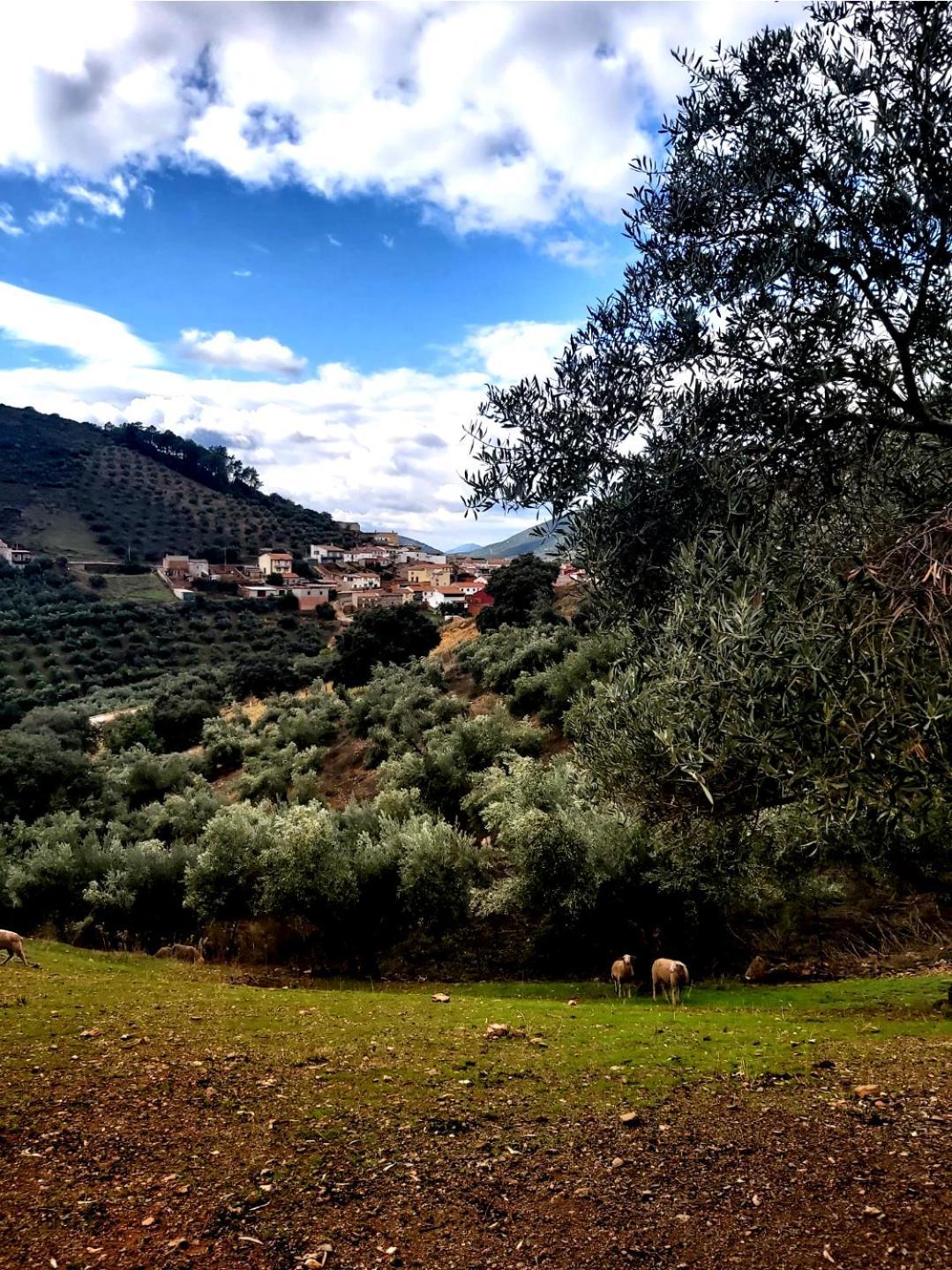 Alojamiento Turistico Las Solaneras Villa Solana del Pino Exterior foto